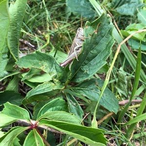 Meet your Posher, natalia